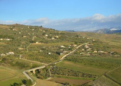 Sambuca winery Sicily