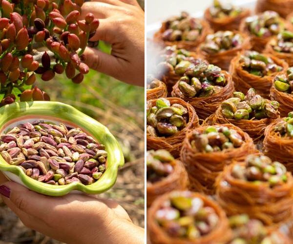 Bronte pistachio festival