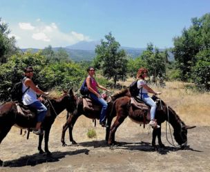 Family experience Donkey tour